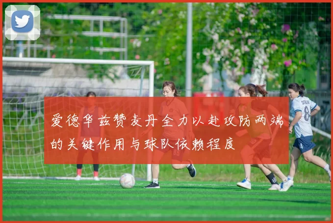 爱德华兹赞麦丹全力以赴攻防两端的关键作用与球队依赖程度